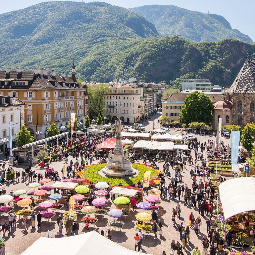 Private transfer from Rome to Bolzano